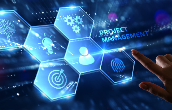 إدارة المشاريع الإحترافية PMP